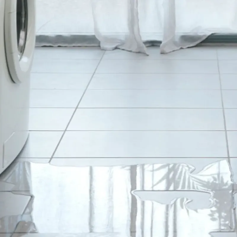 Appliance Leak Cleanup in Ayden, NC