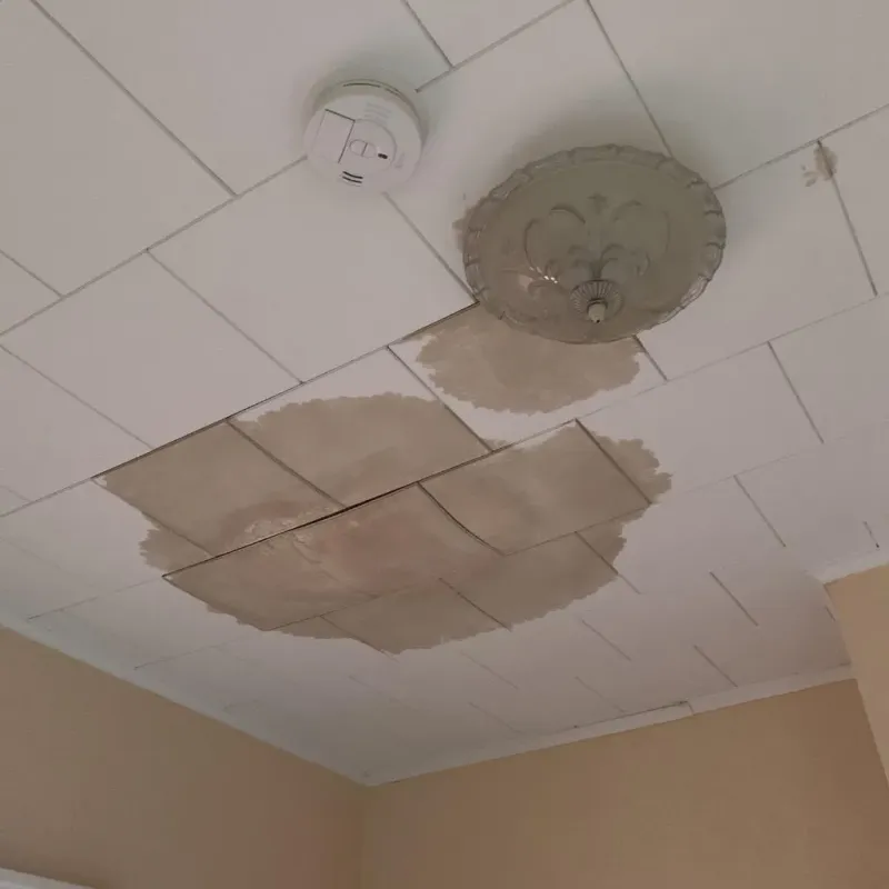 Ceiling Water Damage Repair in Ayden, NC