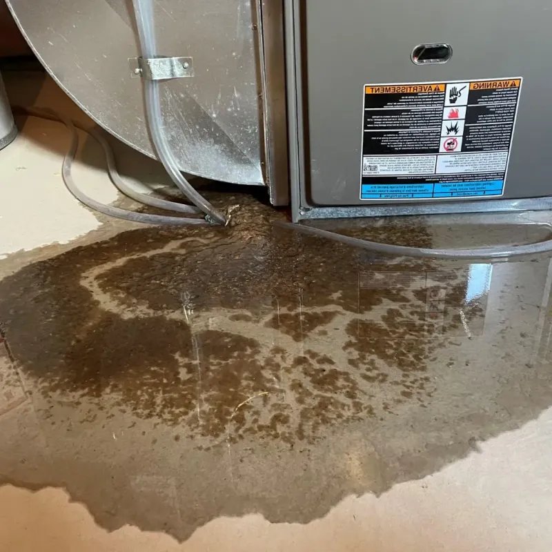 Pipe Burst and Leak Restoration in Ayden, NC