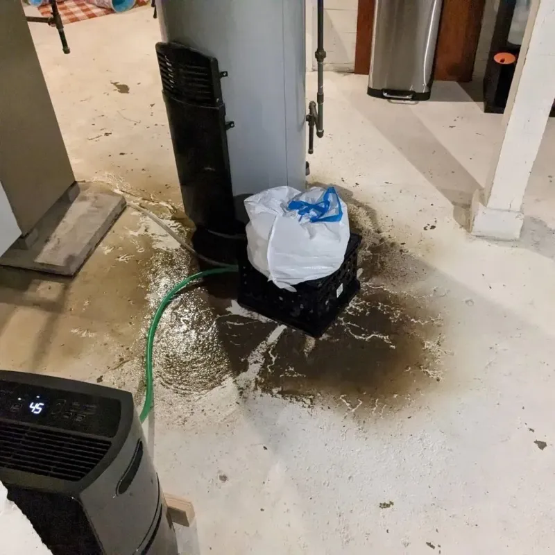 Sewage Backup Cleanup Service in Ayden, NC